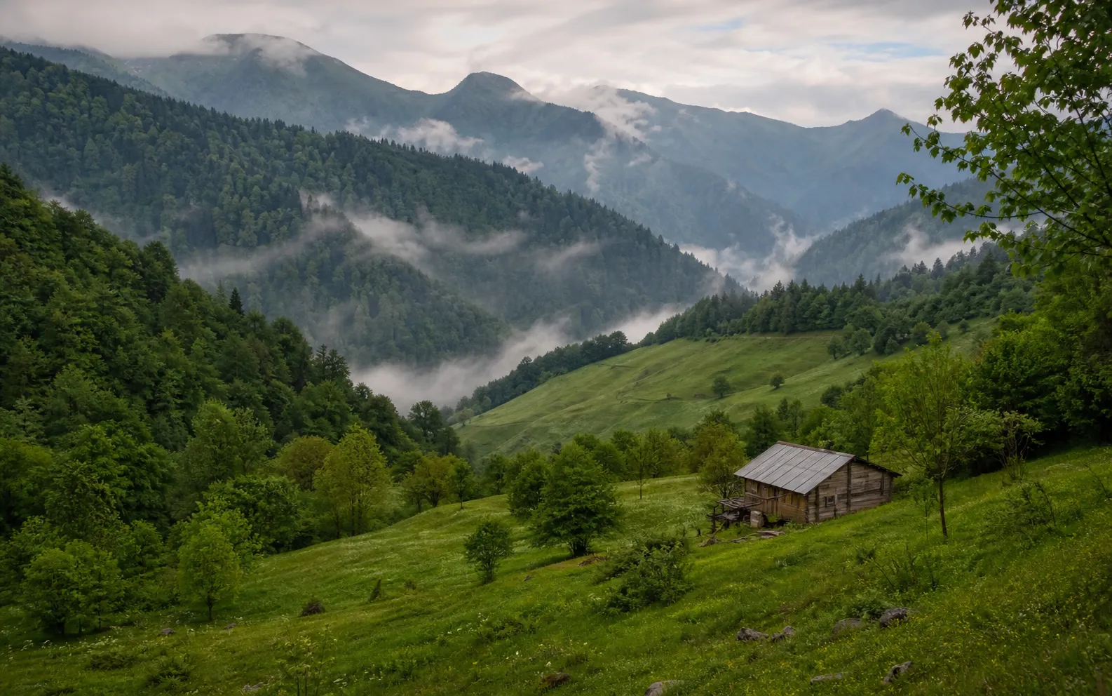 Karadeniz Yaylaları